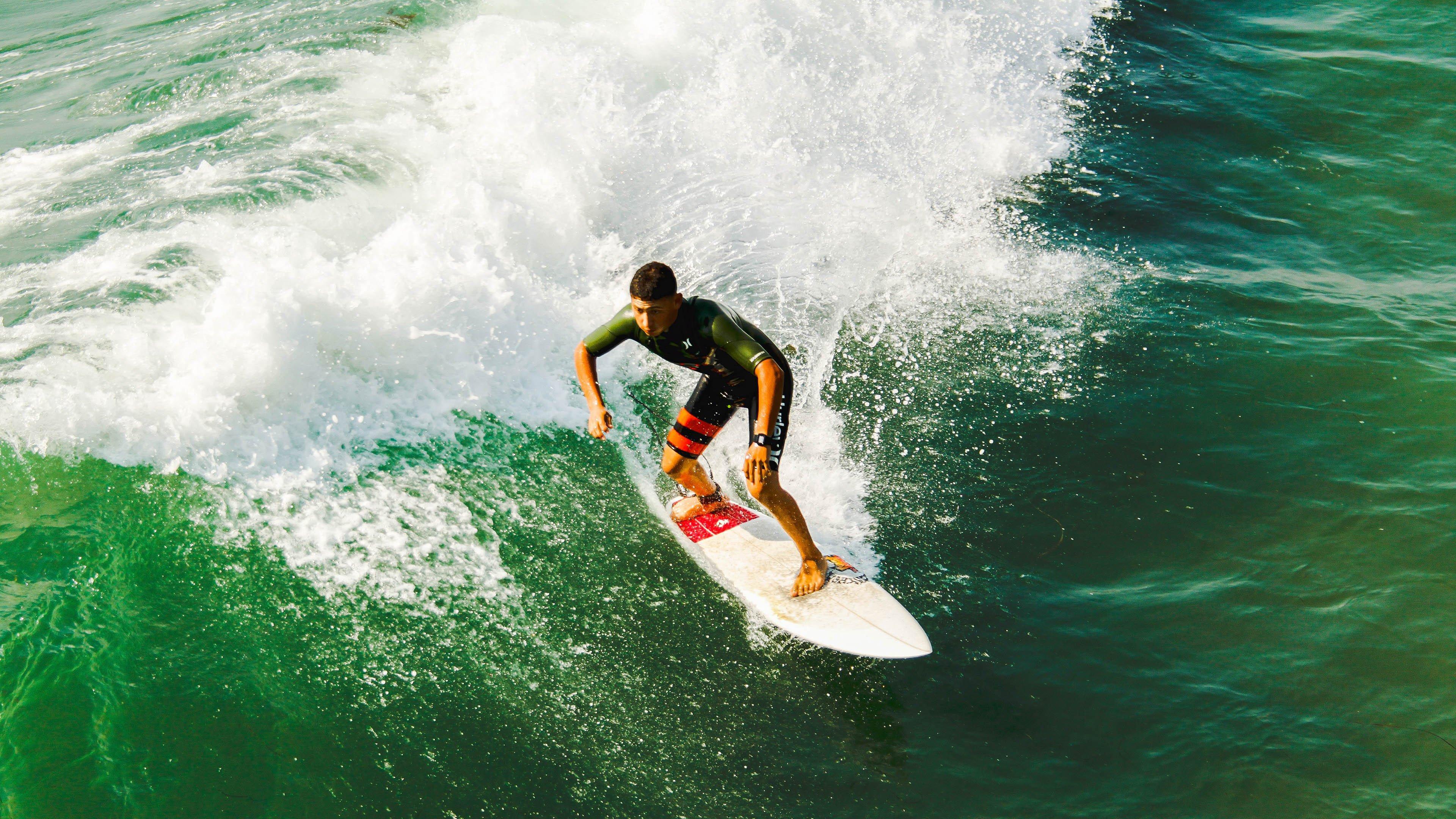 重逢旧主，格里马尔多，情感交织中的职业典范