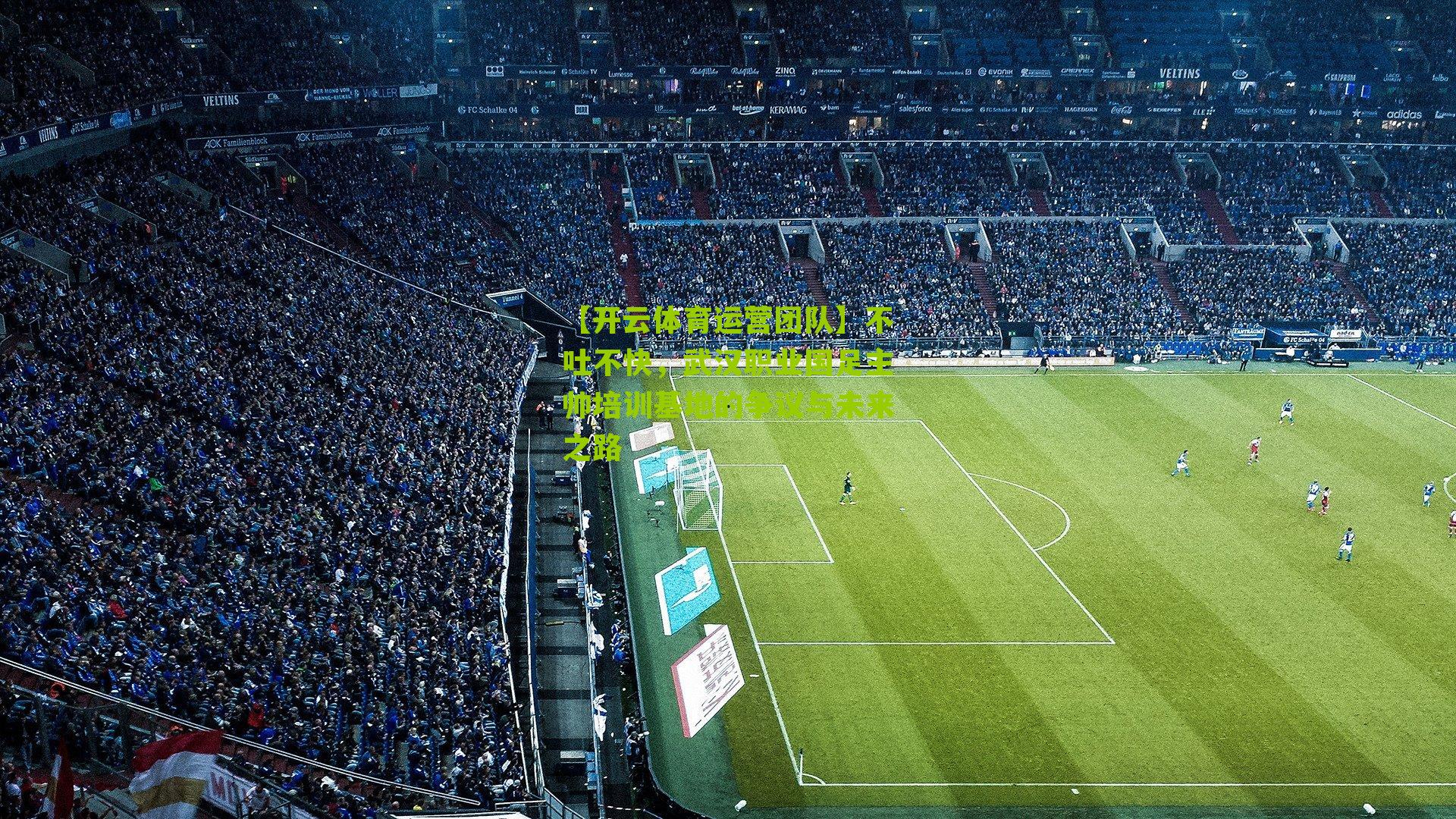 不吐不快，武汉职业国足主帅培训基地的争议与未来之路